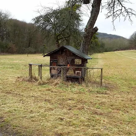 Haus Mit Seele Im Nahetal דירה Weinsheim (Bad Kreuznach)