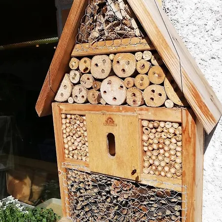 Haus Mit Seele Im Nahetal * Weinsheim (Bad Kreuznach)