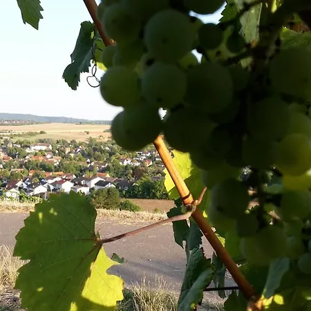 Haus Mit Seele Im Nahetal