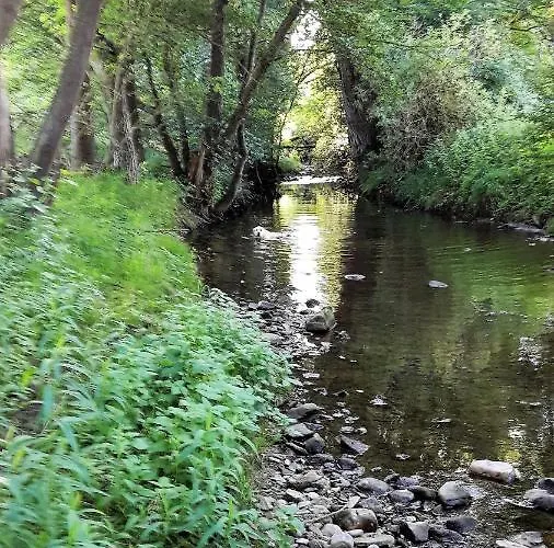 Haus Mit Seele Im Nahetal Weinsheim (Bad Kreuznach)