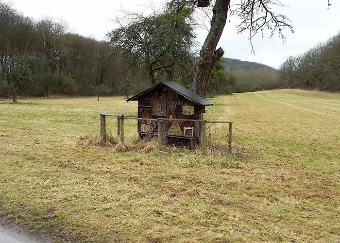 Haus Mit Seele Im Nahetal Апартаменты Weinsheim (Bad Kreuznach)