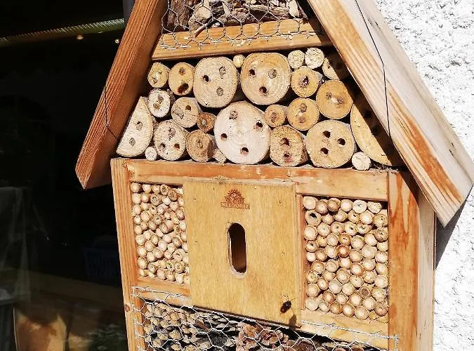 Haus Mit Seele Im Nahetal * Weinsheim (Bad Kreuznach)
