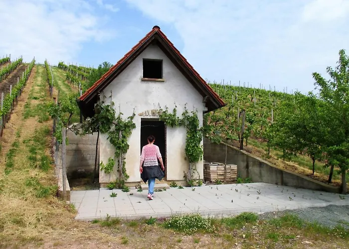 Haus Mit Seele Im Nahetal * Weinsheim (Bad Kreuznach)