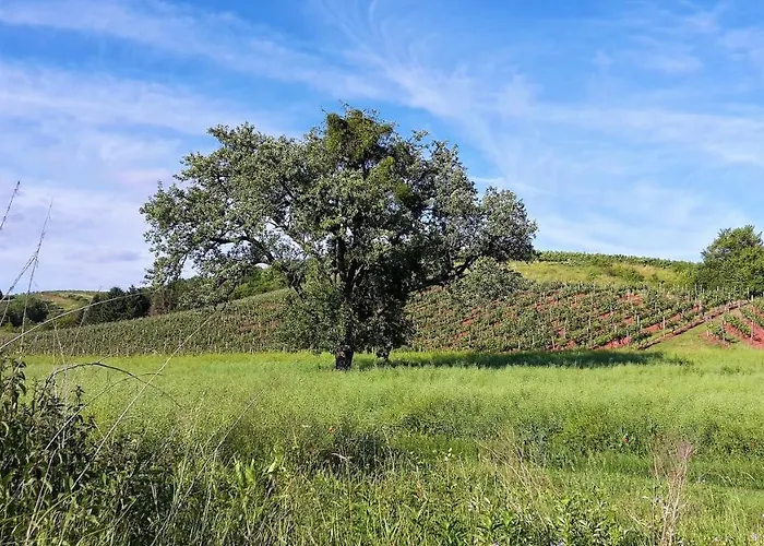 Апартаменты Haus Mit Seele Im Nahetal Weinsheim (Bad Kreuznach)