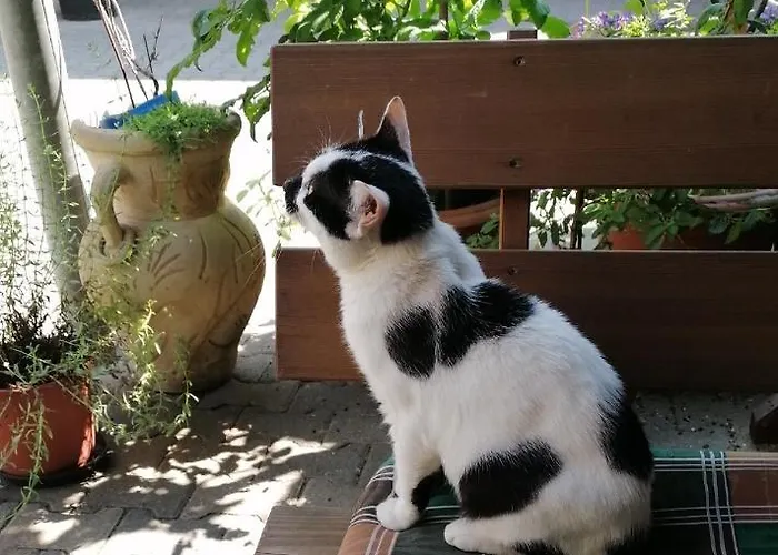 Haus Mit Seele Im Nahetal Weinsheim (Bad Kreuznach)