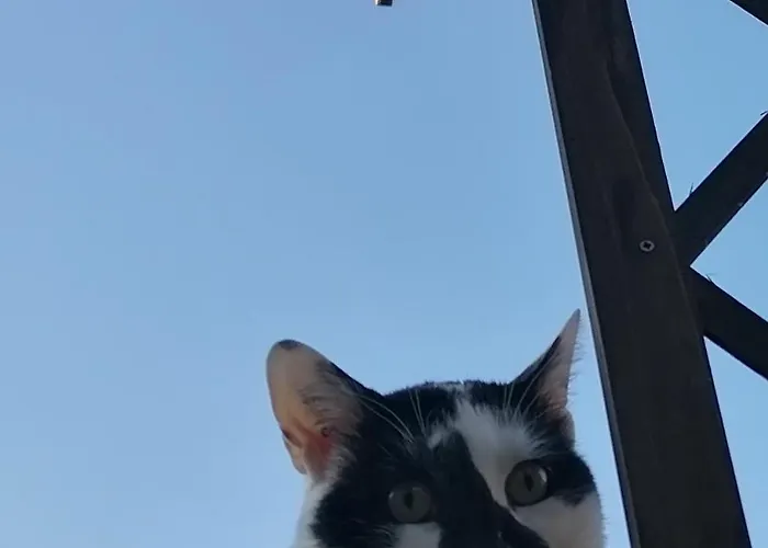 Haus Mit Seele Im Nahetal Weinsheim (Bad Kreuznach)